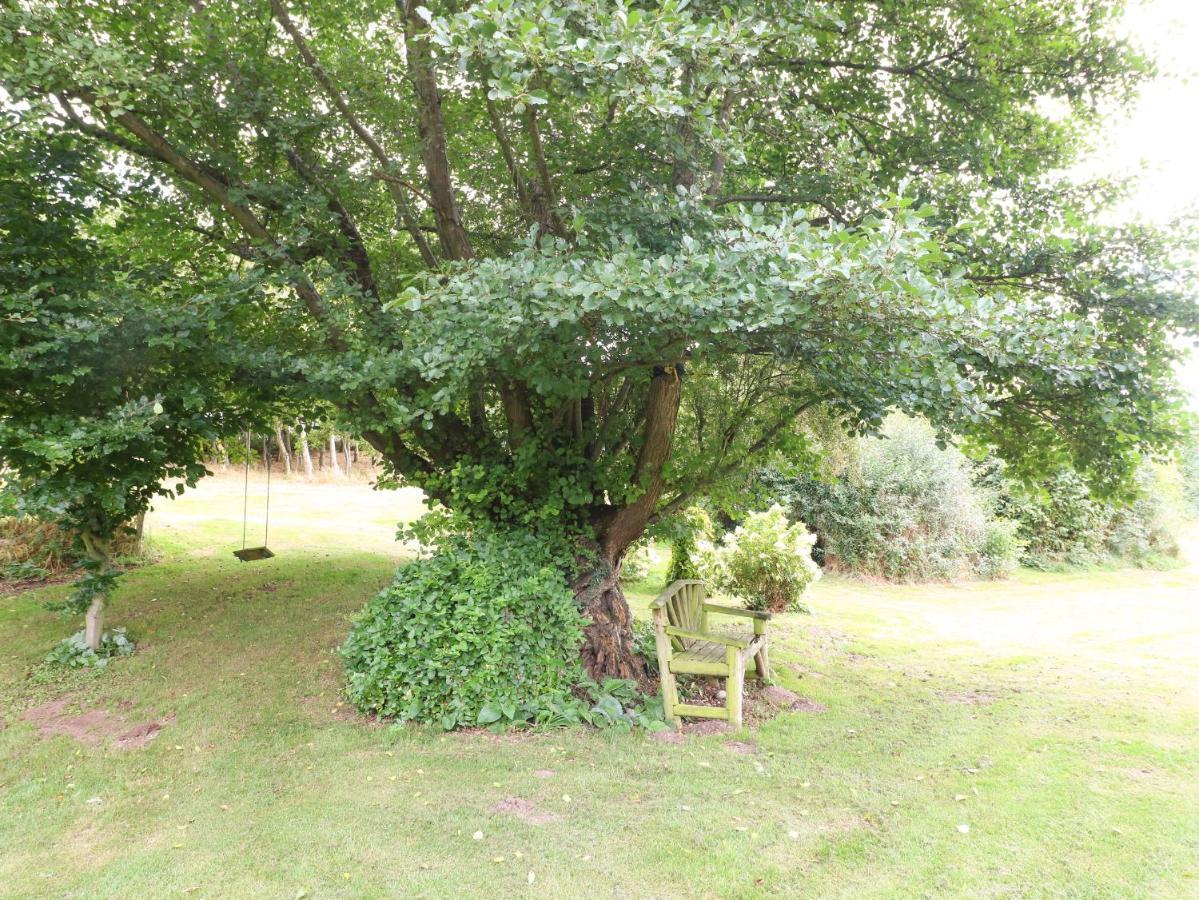 Mill Farm - The