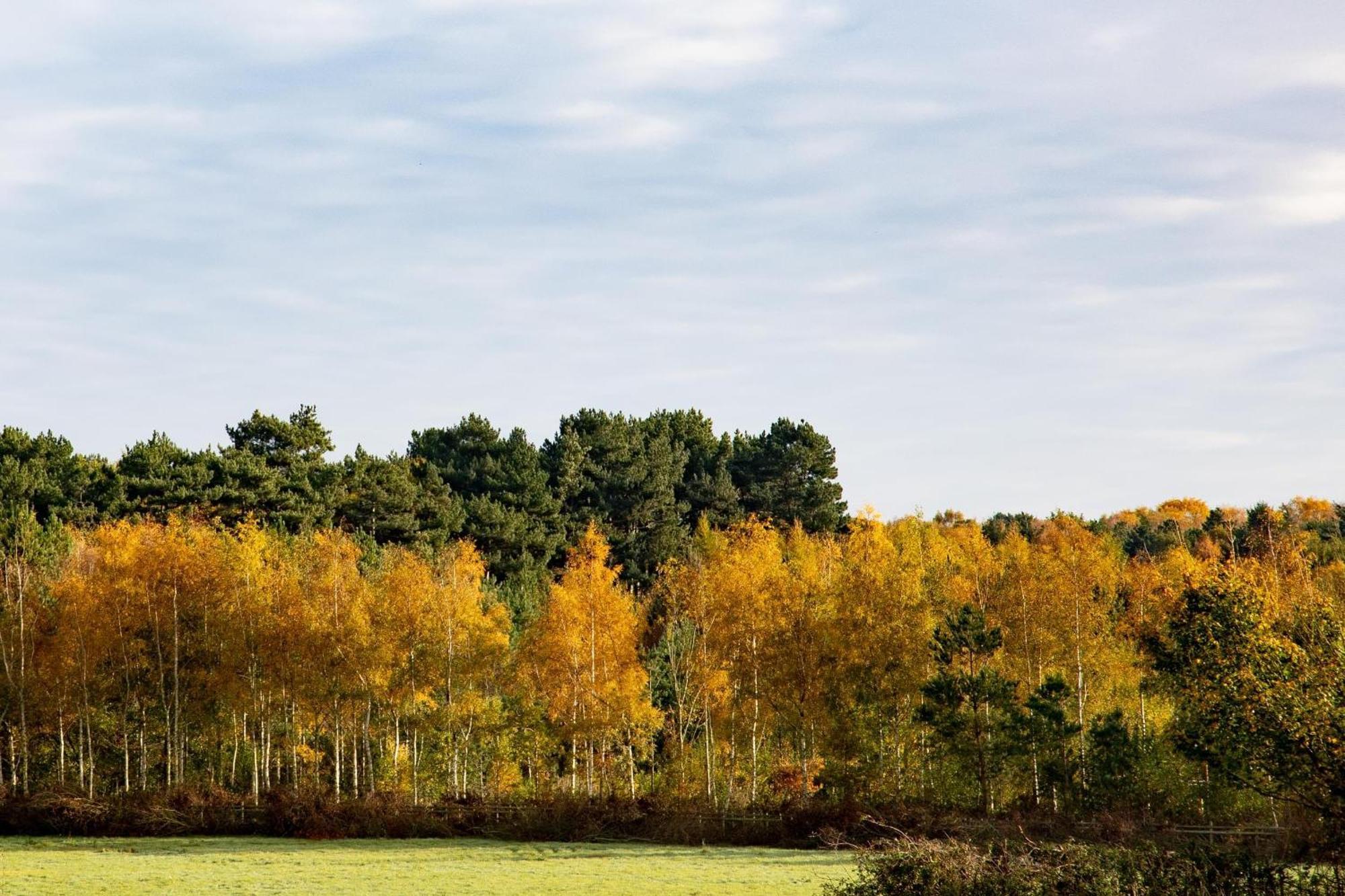 Crowne Plaza East Midlands Airport By Ihg Hotel